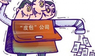 什么样的公司是皮包公司（皮包公司算公司吗）
