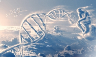 平面广告设计,工作稳定性是很高的（平面广告设计有哪些特性）