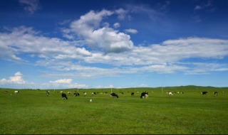 带你了解内蒙古 你看一下内蒙古