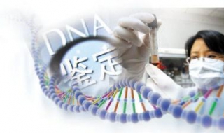 亲子鉴定需要多少钱（做一次dna亲子鉴定需要多少钱）