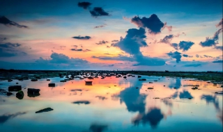 图虫怎么拍照 图虫怎么拍照赚钱