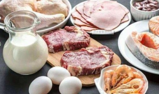 蛋白质减肥法有效吗 蛋白质减肥法有什么危害