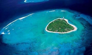 自然的LOVE：汉密尔顿岛