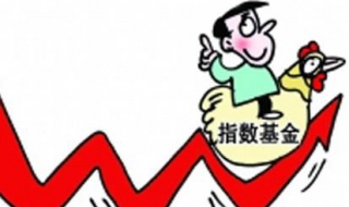 指数基金的特点 指数基金的特点包括