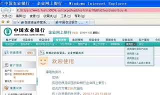 农行网银：如何进行转账（农行网银:如何进行转账操作）