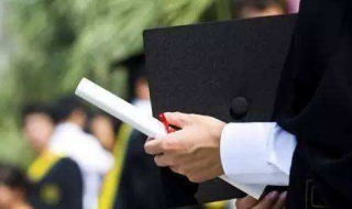 应届生求职遇阻（应届生求职遇阻怎么办）