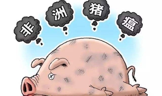 非洲猪瘟病毒（非洲猪瘟病毒是dna还是rna病毒）