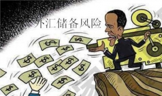 如何防控外汇风险（如何防控外汇风险发生）