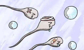 精子少怎么办