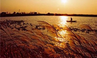 高邮湖有什么好吃的 高邮湖有什么好吃的地方