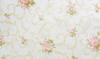 墙纸的选择（墙纸选择什么材质的好坏）