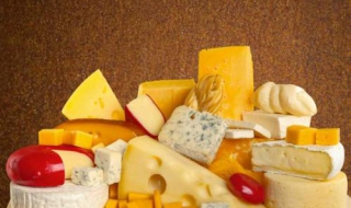 《苍蝇与奶酪HD》：苍蝇如何百折不挠