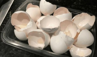 鸡蛋壳的妙用 鸡蛋壳的妙用作文二年级