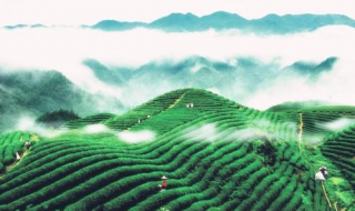 贵州7天自助旅游攻略 贵州7天自助旅游攻略视频