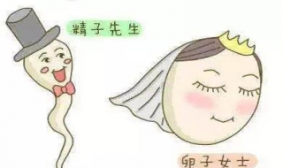 有排卵为什么不怀孕（为什么有排卵却不怀孕）