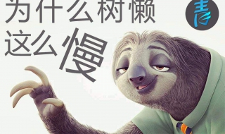 树懒为什么这么慢（树懒为什么这么慢 知乎）