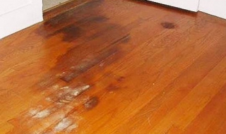 地板潮湿怎么办（冬天地板潮湿怎么办）