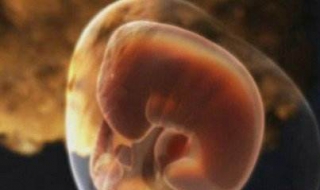 怀孕了不想要怎么办（怀孕了不想要怎么办不想去医院）