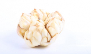 孕妇能吃百合吗 孕妇能吃百合吗 孕早期