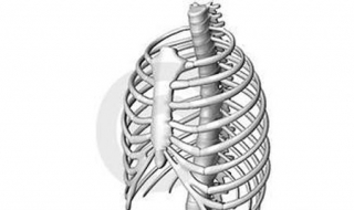 肋骨骨折怎么办 肋骨骨折怎么办呢,多久可以恢复