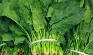 肝火旺怎么办 肝火旺怎么办吃什么最好