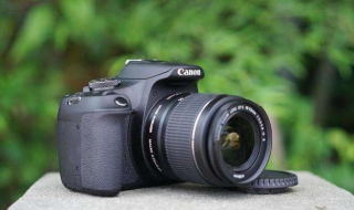 单反快门数怎么看（数码相机快门数怎么看）