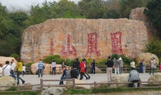 带您游览凤凰山（带您游览凤凰山的感受）