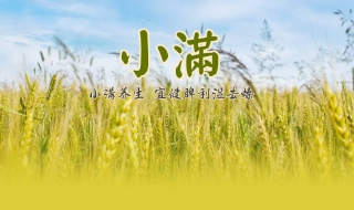 二十四节气之小满 二十四节气之小满歌曲