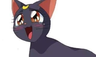 魔女宅急送小猫 魔女宅急便的小猫