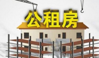 公租房使用权纠纷如何处理 公租房使用权纠纷如何处理的