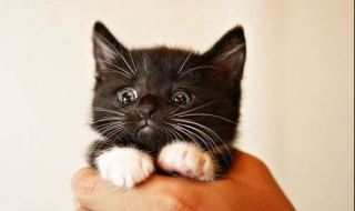 什么人可以让你不知所措 这样的人让我不知所措