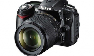 尼康单反怎样拍摄动物 尼康拍动物用什么镜头