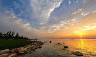 太湖白虾的做法 太湖白虾的做法大全