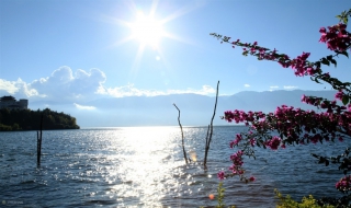 云南旅行攻略 云南旅游必去的景点