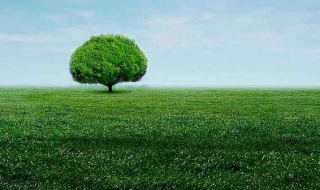 手机护眼模式：应该如何设置（手机如何设置护眼模式设置）