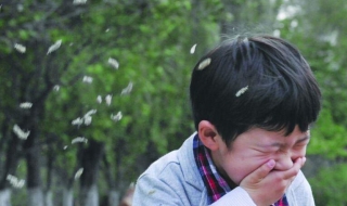 过敏体质怎么办 过敏体质怎么办改善体质