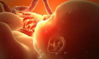 羊水少怎么办 羊水少怎么办是什么原因造成的