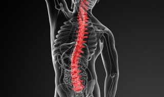 得了强直性脊柱炎怎么办（得了强直性脊柱炎怎么办能治好吗）