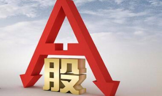 告诉你什么是股票（股票意味着什么）