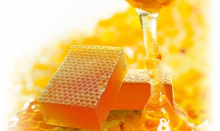 什么样的蜂蜜是好（什么样的蜂蜜好?）