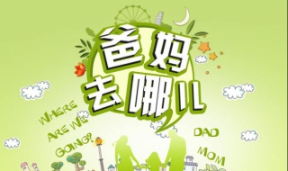 爸爸去哪儿了（爸爸去哪儿了演员名单）