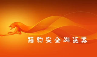 猎豹浏览器卡顿的两三个解决方案（猎豹浏览器卡顿的两三个解决方案是什么）