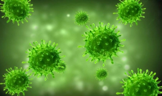 得了支原体怎么办（得了支原体怎样治疗）