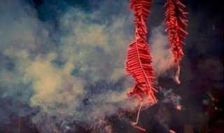 为什么放鞭炮 今天什么节日为什么放鞭炮