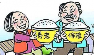 离职后养老保险怎么办（离职后养老保险怎么办理）