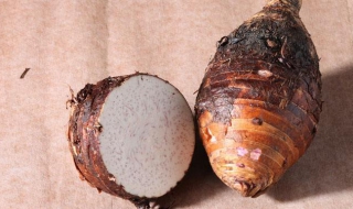 芋头手痒怎么办（洗了芋头手痒怎么办）