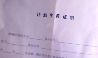 计划生育证明怎么办理（计划生育证明怎么办理的）