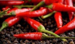 辣椒辣手了怎么办（辣椒辣手怎么办用牙膏）