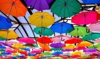 五彩缤纷的雨伞（五彩缤纷的雨伞造句）