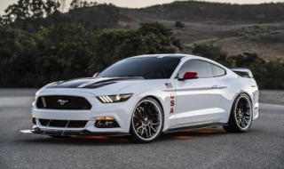 福特野马的荧幕记录（福特野马mv）